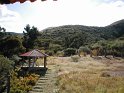 P1010056 copia
